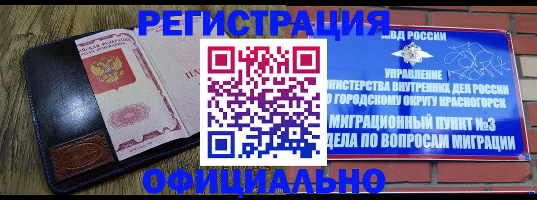 временная регистрация для школы в Мытищах